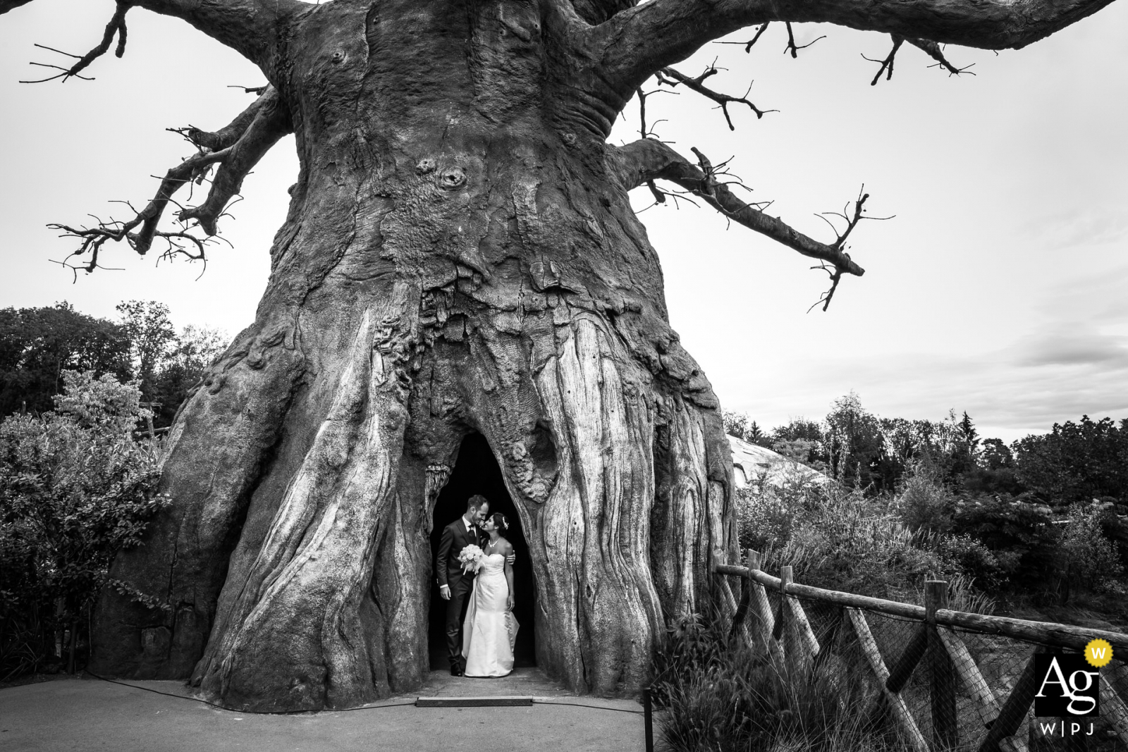 wedding in Zurigo zoo