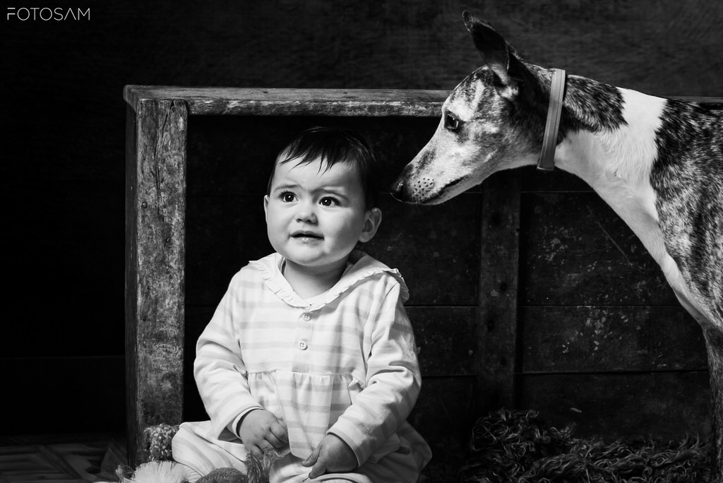 bambina-accanto-al-cane-in-uno-scatto-di-studio-tenero