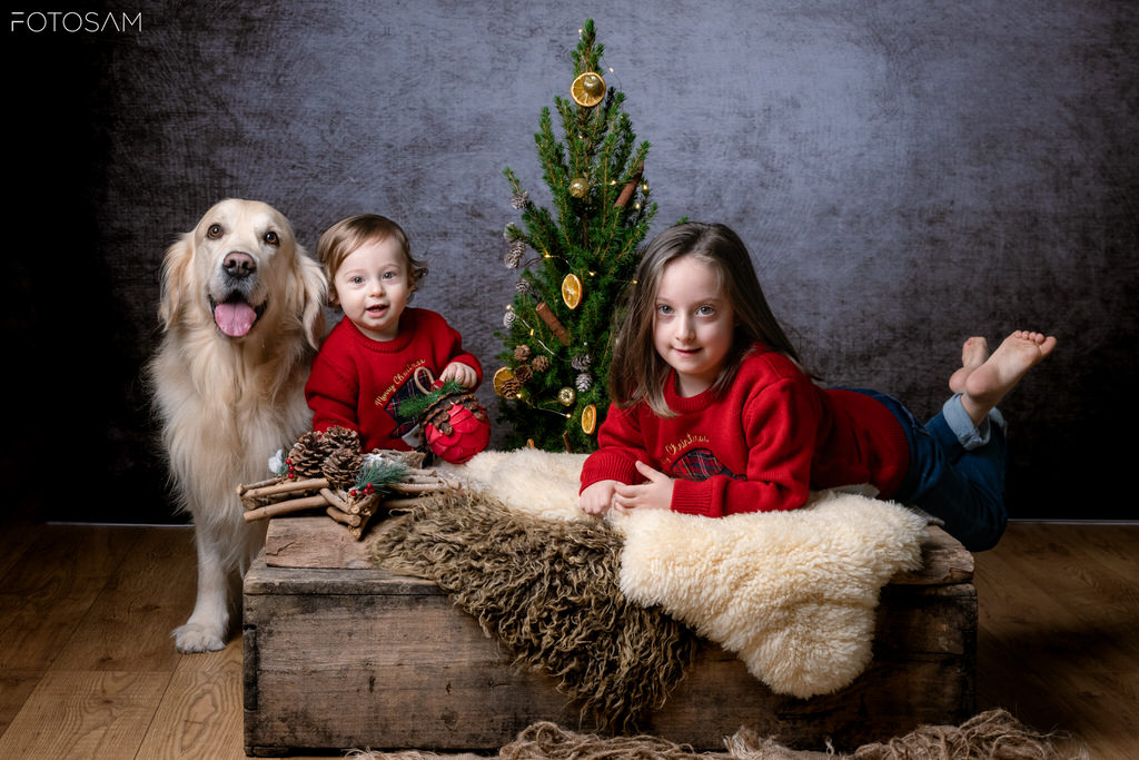 bambini-e-cani-accanto-all-albero-di-natale-in-una-scena-dolce-e-spontanea