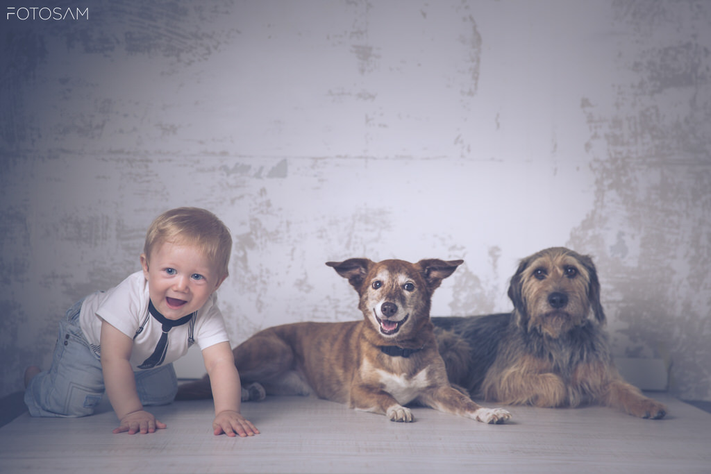 bambino-con-due-cani-in-uno-scatto-delicato-e-intimo-di-reportage