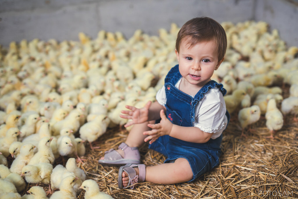 bambino-seduto-tra-i-pulcini-in-uno-scatto-rurale-dolce-e-originale