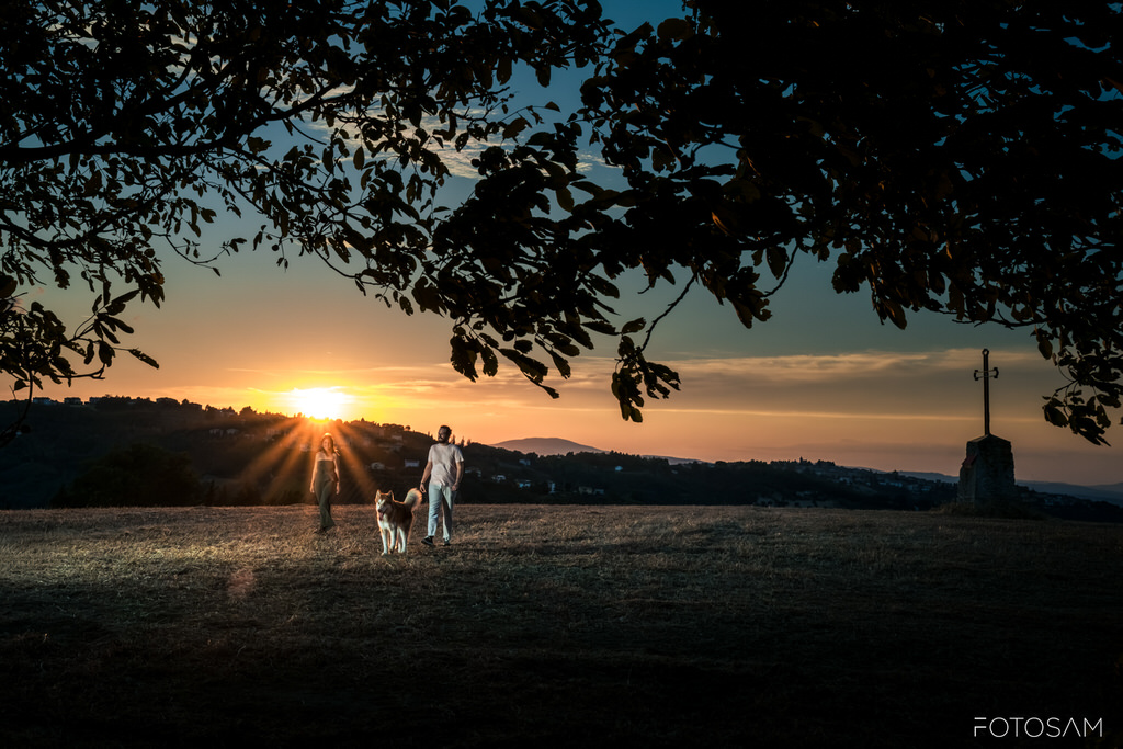cane-nel-campo-con-coppia-sullo-sfondo-al-tramonto