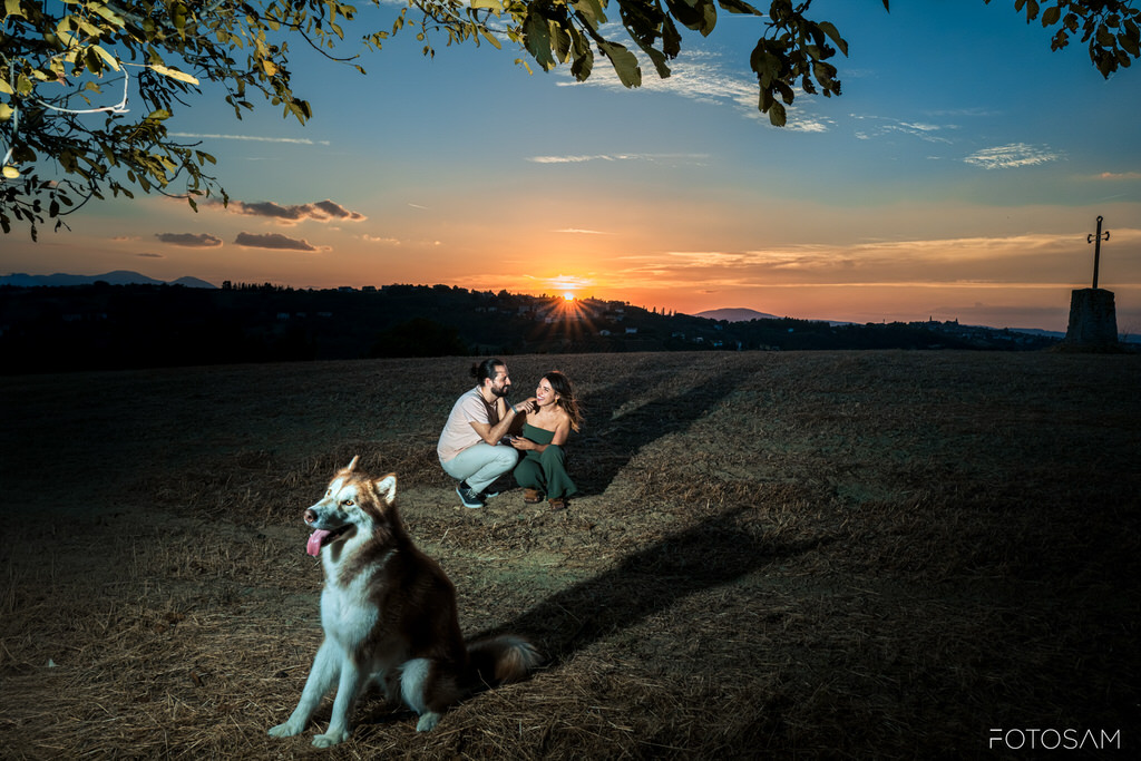 cane-seduto-in-un-campo-con-coppia-distesa-sullo-sfondo-al-tramonto