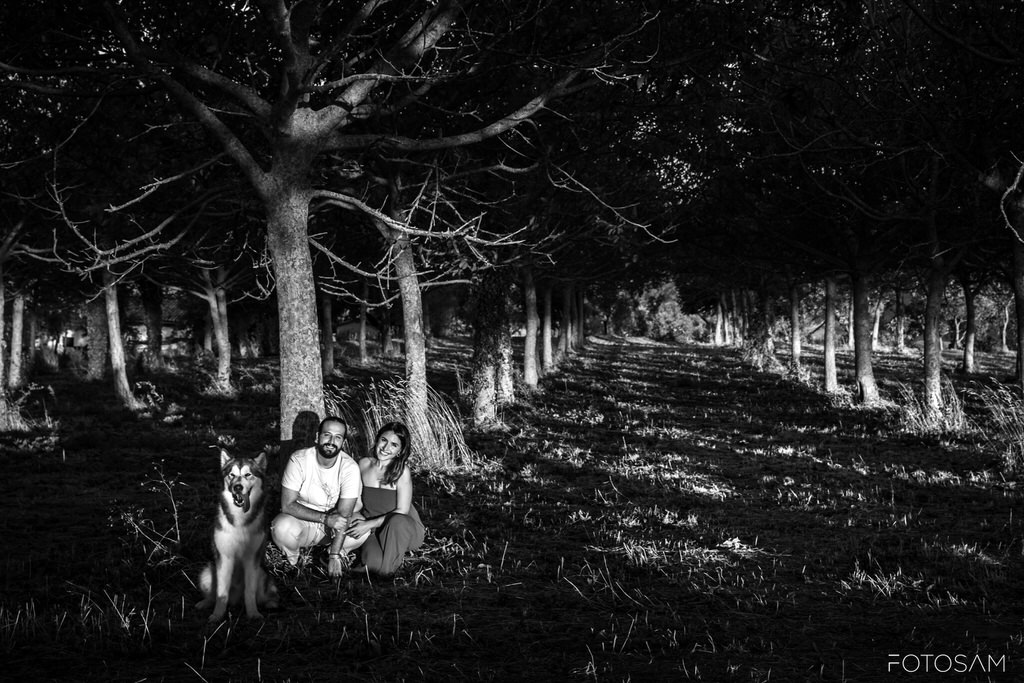 coppia-e-cane-in-controluce-tra-gli-alberi-al-tramonto