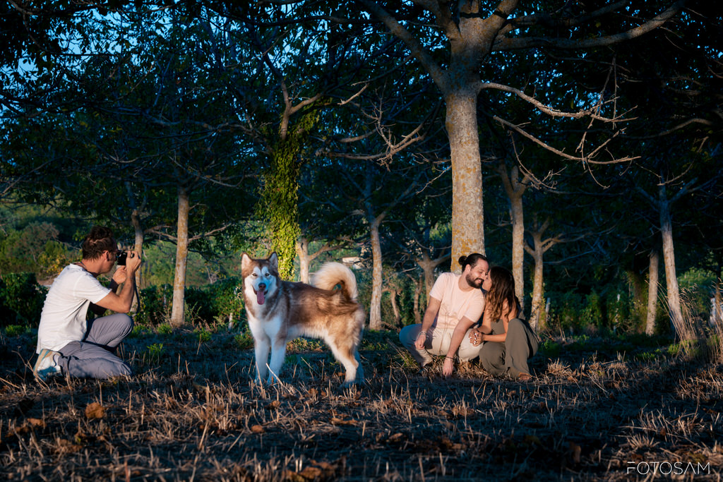 coppia-seduta-nel-campo-con-il-cane-durante-il-tramonto