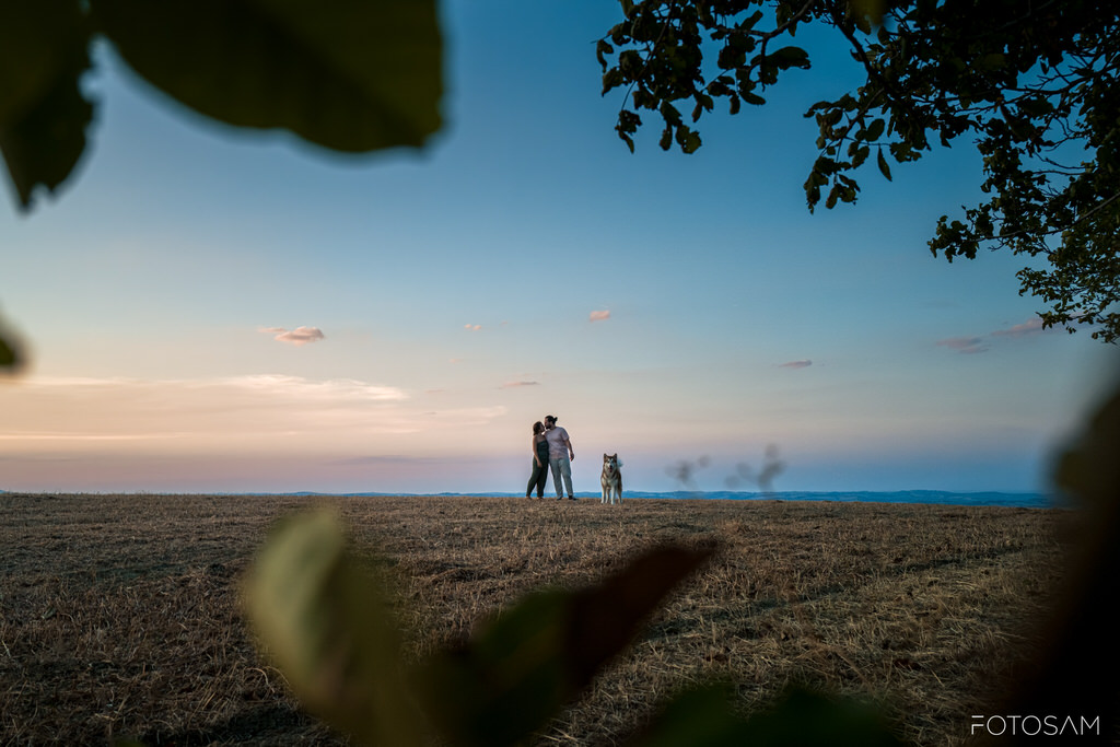 coppia-in-lontananza-con-il-cane-in-un-campo-durante-il-tramonto