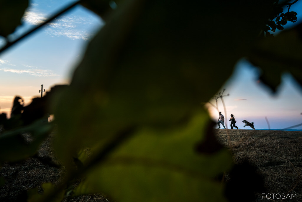 coppia-e-cane-ripresi-tra-le-foglie-durante-una-passeggiata-al-tramonto