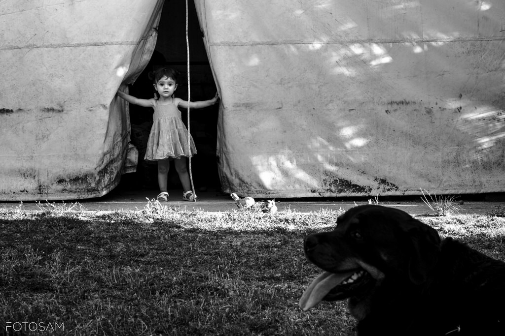 famiglia-e-bambino-sotto-una-tenda-con-il-cane-in-uno-scatto-reportage-all-aperto