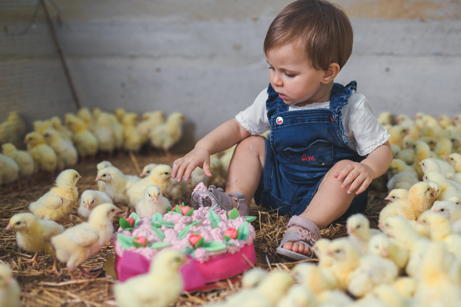 bambina-con-torta-e-pulcini-per-festa-del-primo-compleanno