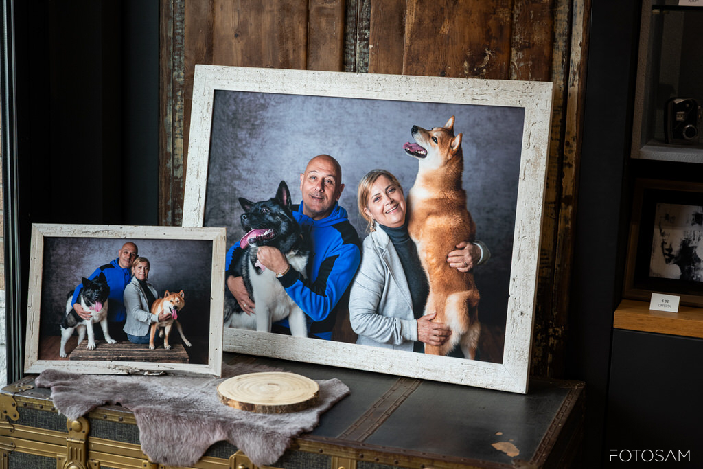 ritratti-di-cani-e-famiglie-con-servizio-fotografico-personalizzato