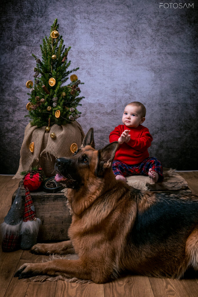 bambino-e-cane-accanto-all-albero-di-natale-in-una-scena-familiare-calda