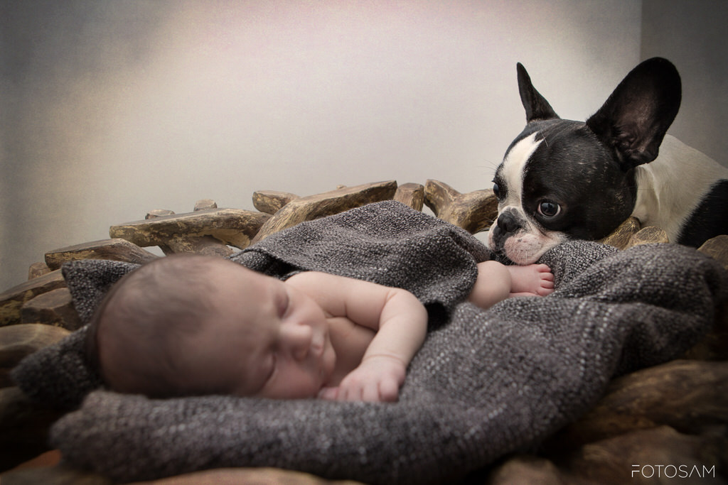 neonato-dormiente-con-il-cane-accanto-in-un-ritratto-di-studio-tenero