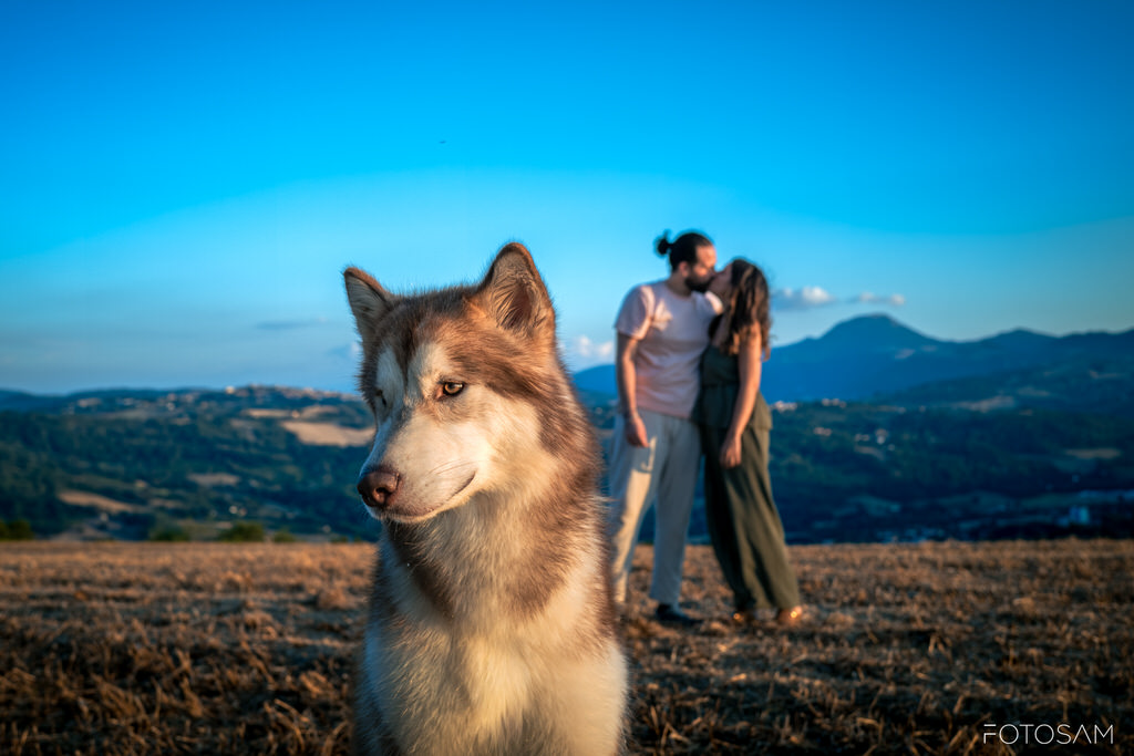 cane-in-primo-piano-con-coppia-in-piedi-nel-paesaggio-al-tramonto