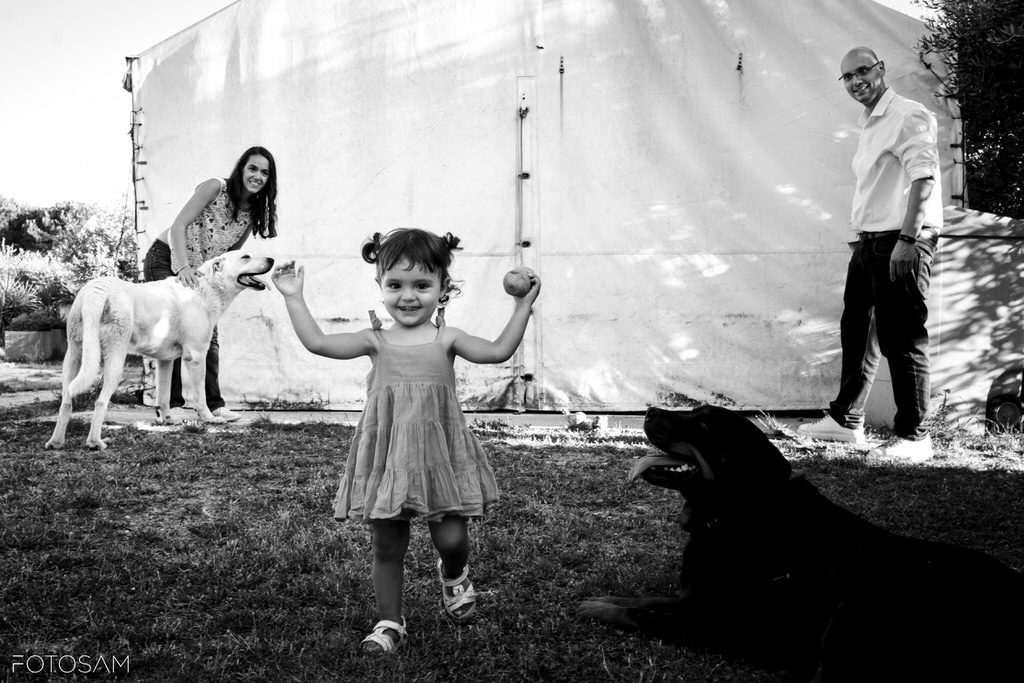 due-cani-in-un-ritratto-artisitico-in-bianco-e-nero-con-atmosfera-raffinata