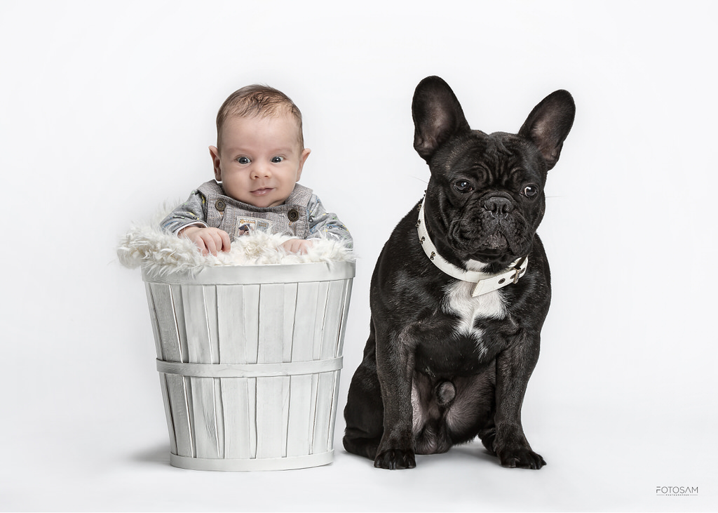 servizio-fotografico-con-il-tuo-cane-in-uno-scatto-di-studio-autentico-e-dolce