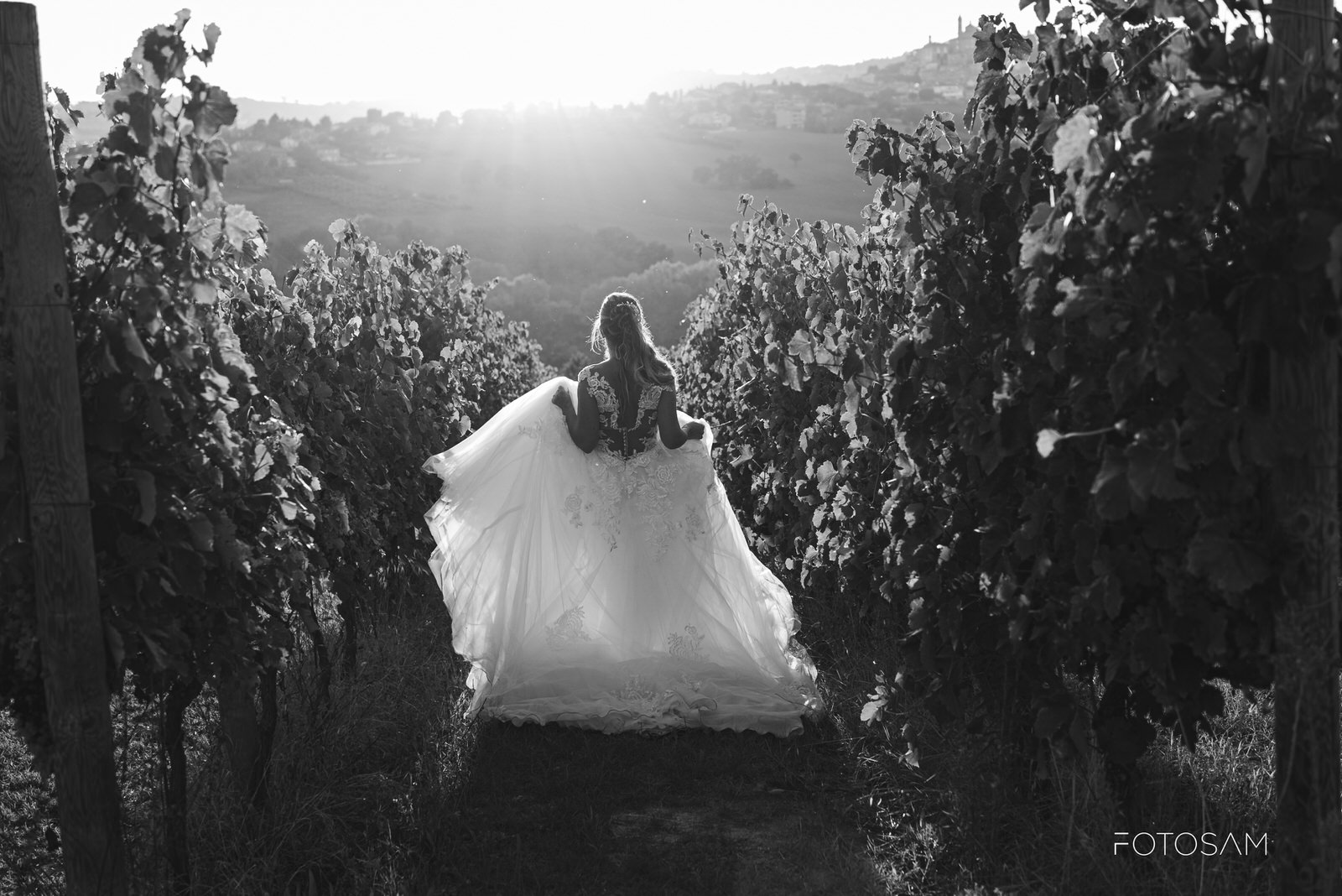 La sposa lungo i vigneti di Cantina Langelina