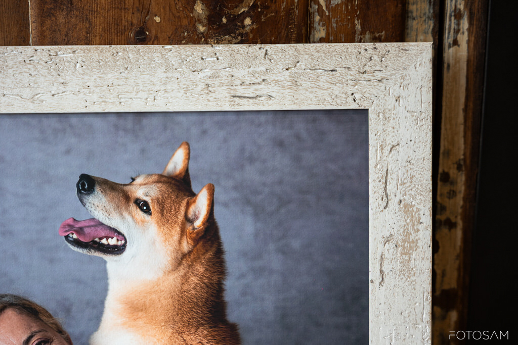dettaglio-di-stampa-con-cornice-e-ritratto-di-cane