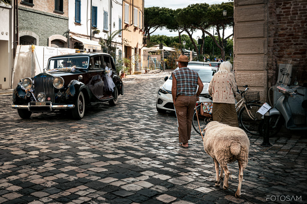 scena-di-strada-con-auto-depoca-e-pecora-reportage-nozze-tenuta-mara